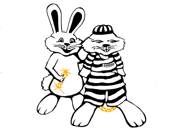 Bunny Bail Bonds accepts Visa, American Express, Discover and Mastercard